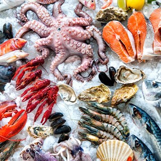 Aquaculture / Seafood Processing
